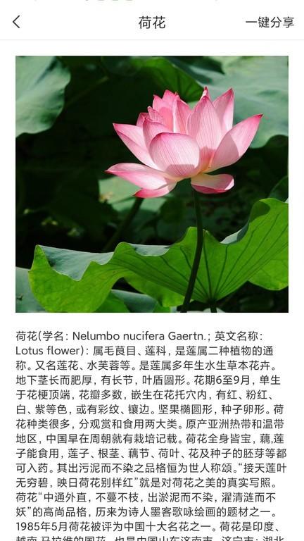 拍照识物全能王app最新版下载,拍照识物全能王,识别app,扫一扫app